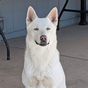 Meet your Posher, Manny